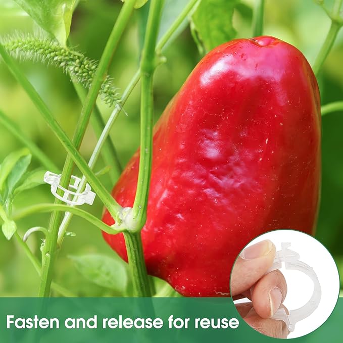 150 Pcs Plant Clips for Climbing Plants, Tomato Clips for Support, Plastic Garden Clips for Plants Grape Vine Vegetables Make Plant Grow Upright