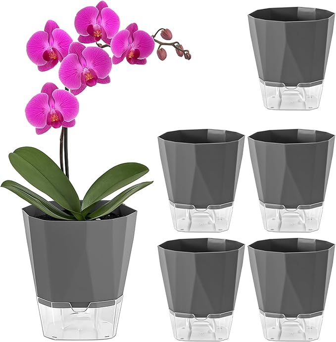 5 Pack Self Watering Pots for Indoor Plants, 6.7 Inches Self Watering Planters African Violet Pots Clear Pots for Herb Orchid Flower Houseplant, Dark Grey