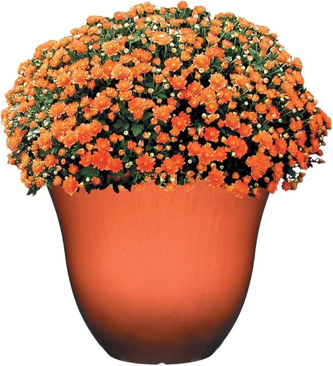 Classic Home & Garden Resin Flower Pot Planter, 13" | Orange Ember | Pack of 3 | Honeysuckle Design