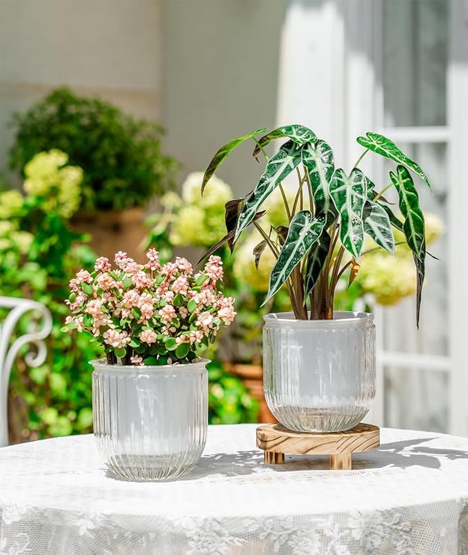 Melphoe Self Watering Pots for Indoor Plants Planter, 5.3 Inch 2 Pack Planters Self Watering Plant Pots for Flower, Houseplants, Succulent, African Violets and Cactus with Drainage
