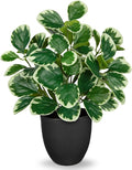 14.5" Artificial Plants Indoor Home Decor, Fake Potted Silk Plants for Shelves Living Room Decorative, Small Artificial Office Desk Plant in Pots, Faux Peperomia Hope Tropical House Plant