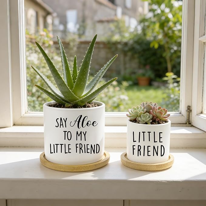 Say Aloe to My Little Friend Planter Pot, Funny Plant Pots, Aloe Plant Pot Succulent Pots with Tray Set of 2 Flower Pots Indoor Pot - Without Plants, Office Home Windowsill Gifts (No Plant)