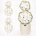 2PCS Hoya Trellis Plant Support Indoor Metal Frame Unique Trellis for Climbing Plants Potted Hoya Pots Small Houseplant Vine Support for Plant Lovers Home Decor