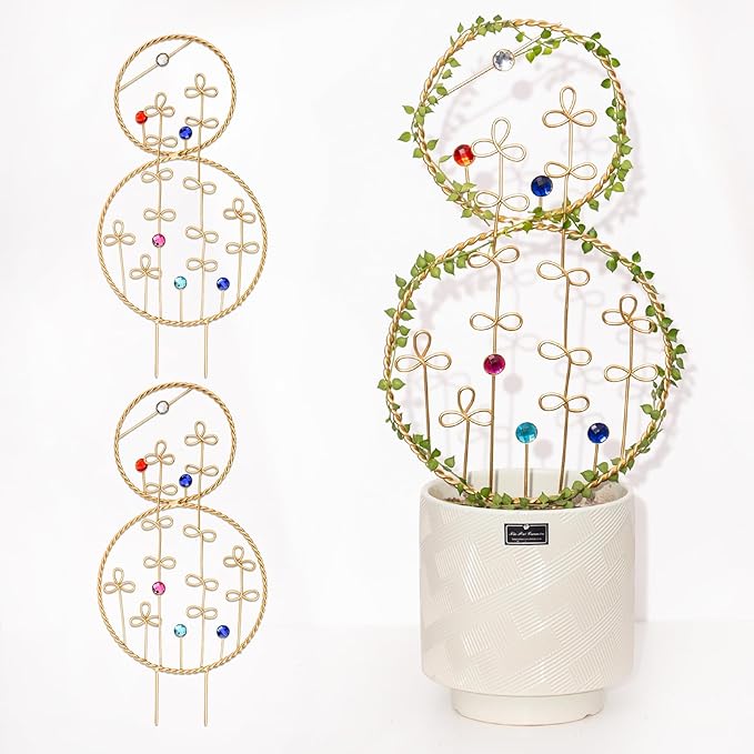 2PCS Hoya Trellis Plant Support Indoor Metal Frame Unique Trellis for Climbing Plants Potted Hoya Pots Small Houseplant Vine Support for Plant Lovers Home Decor