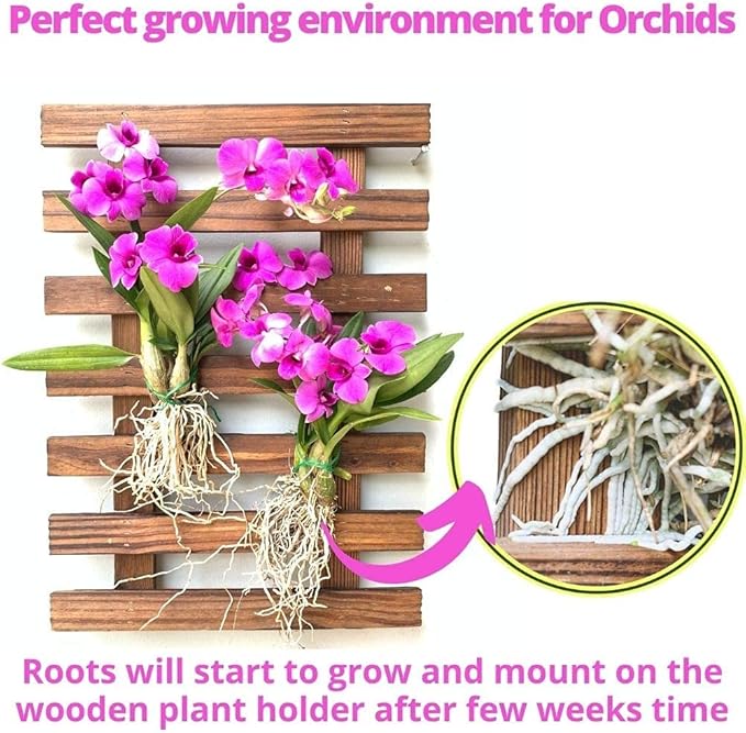 ShopLaLa Wall Planter – Wooden Air Plant Succulent Holder Hanger Indoor Outdoor, Live Orchid Wall Wood Display Frame Vertical Garden Balcony Deck Bathroom Macetas para Plantas De Aire 15.7" (40cm)