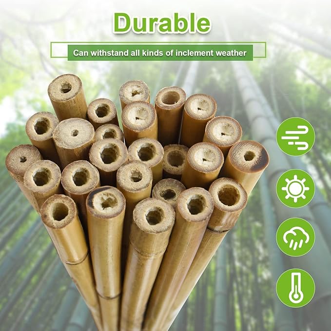 25pcs 7/20" D Thicker Heavy Duty Bamboo Stakes, 3FT Plant Stakes, Natural Garden Stakes for Tomato, Bean, Flowers,Trees Potted and Climbing Plant Support