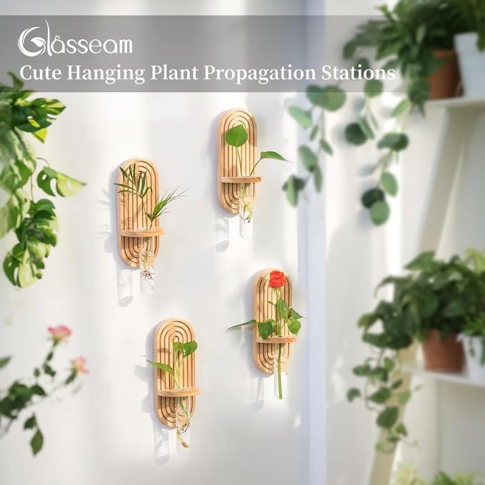 Glasseam Hanging Plant Propagation Stations: Boho Glass Wall Propagation vases Set of 4 - Wood Plant Holder Decorative Planters Terrarium Test Tube for Home Office Indoor Decor