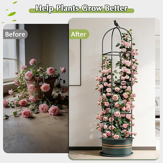 Square Tomato Cages for Garden, 6.2 FT Cucumber Trellis for Flowers, Grape, Pea, Rose, Bean, Rustproof Plastic Coated Metal Plant Support for Potted Plants Indoor Outdoor- 1PC Obelisk Trellis