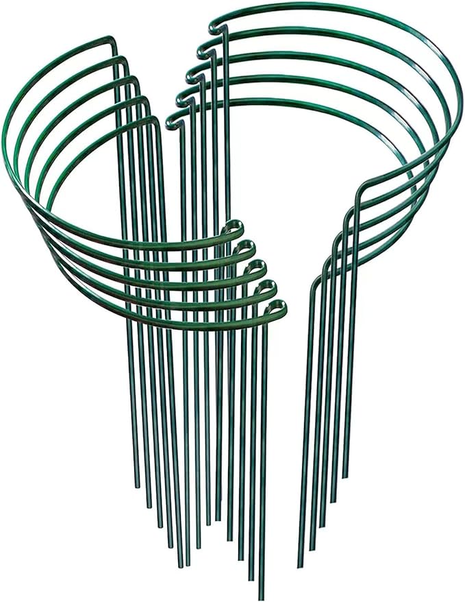 Plant Support Stakes,10Pack Metal Garden Plant Stake,Green Plant Support Ring Cage for Tomato,Rose,Flowers (10)