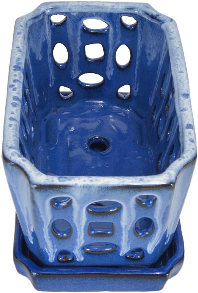 W&W Orchid Pot with Holes and Saucer for Repotting, White and Blue, 9.7 Inch