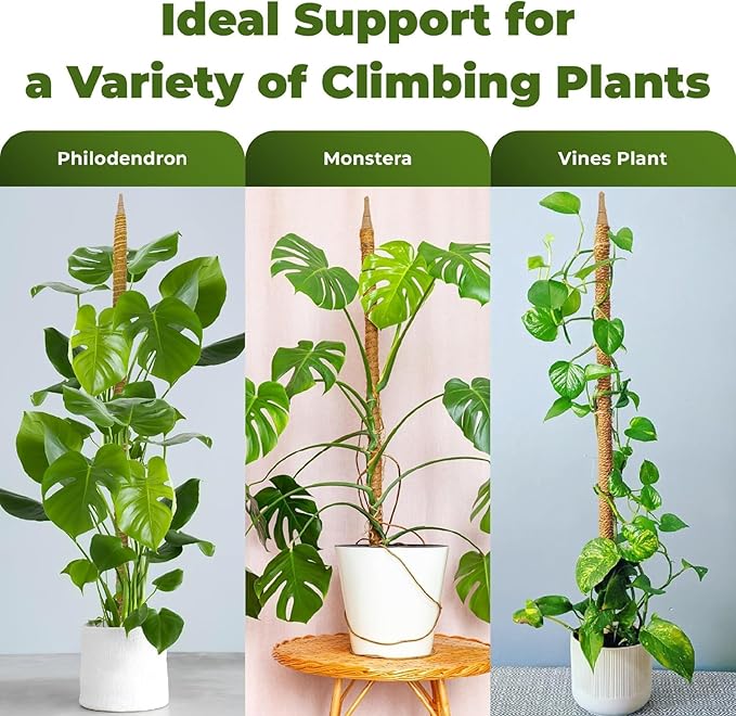 63 Inch Bendable Moss Pole Monstera Plant Support for Climbing Indoor Plants - Stakes for Potted Climbers - Tall Sticks Indoor Trellis for Houseplants - Accessories for Monstera Pot