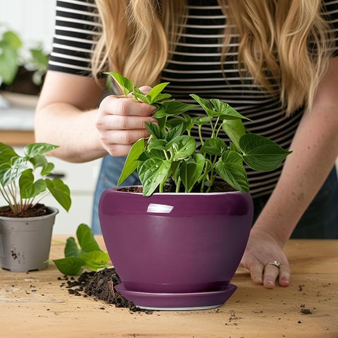 Ceramic Pots for Plants 6 Inch - Ceramic Plant Pots with Drainage Hole and Saucer, Glaze Round Planter for Succulent Plants, Gifts for Plant Lovers, Garden Home Decor, Purple