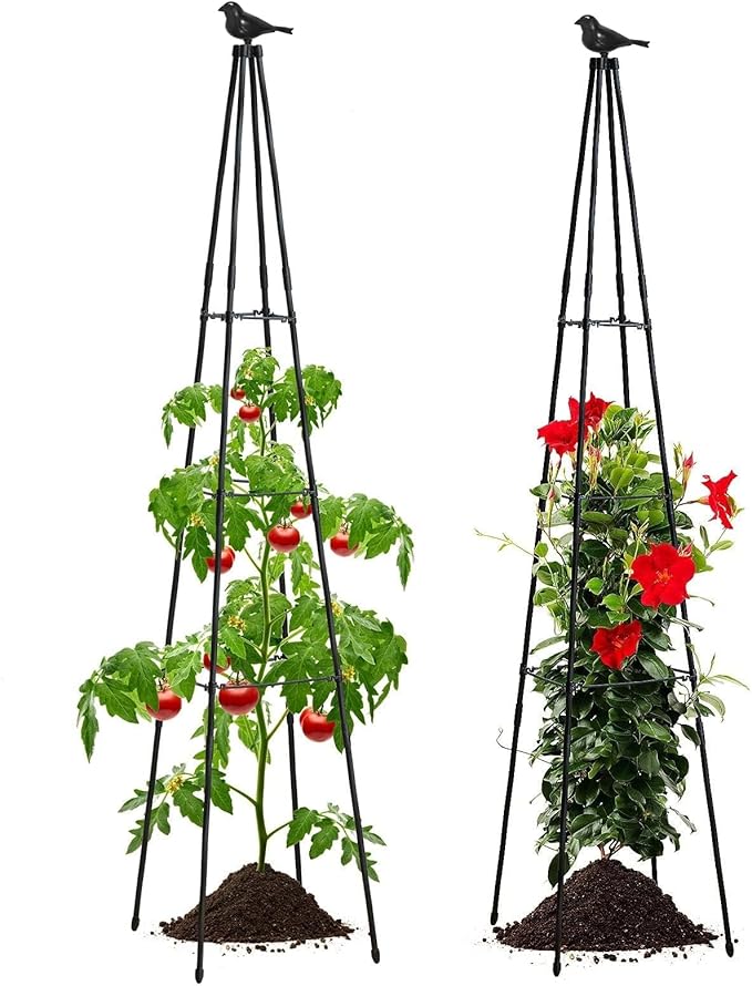 Cucumber Trellis, 67" Tall Obelisk Garden Trellis for Climbing Plants Outdoor Plastic-Coated Metal Support for Flower Vine Vegetable Tomato Cage Cucumebr Trellis Raised Bed, Black, 2 Pack