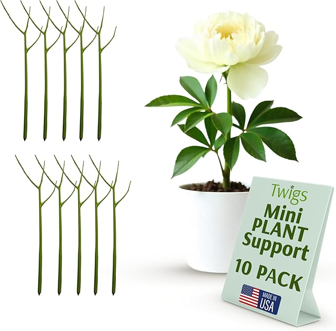 Mini Twigs Plant Support Stakes for Small Plants, Indoor & Outdoor Use, Gardening Supplies, Garden Accessories, Trellis & Ring Alternative, Made in USA - Peony (Light Green), 10 Pack, 12" L
