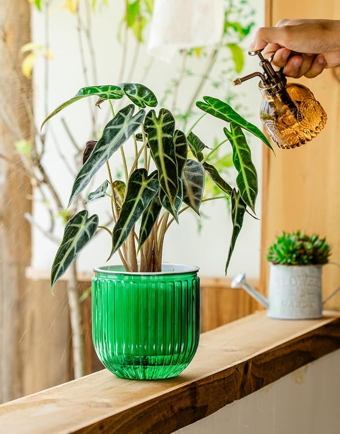 Melphoe Self Watering Pots for Indoor Plants Planter, 8.3/5.3 Inch 2 Pack Planters Self Watering Plant Pots for Flower, Houseplants, Succulent, African Violets and Cactus with Drainage