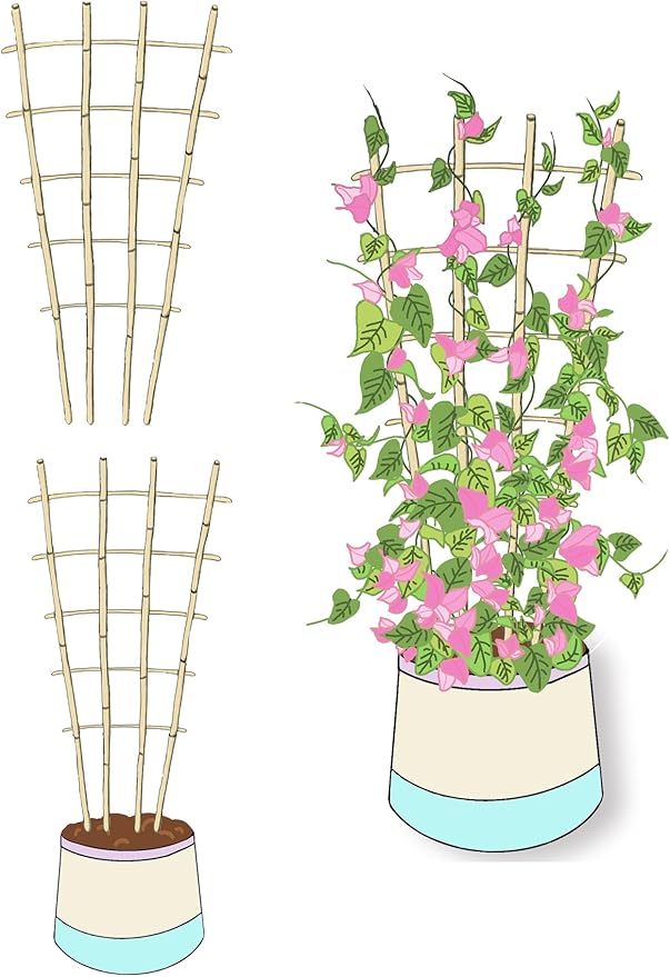 Natural Bamboo Trellis, 3Feet,3Pack,Fan-Shaped Plant Support Trellis for Outdoor and Indoor Potted Climbing Plants,Vegetables, Cucumber, Tomato, Hoya,