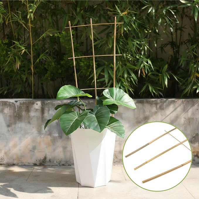 5 Pack 16" Bamboo Trellis for Climbing Plants-Natural Garden Ladder Fan -Shaped Plants Support Trellis for Potted Plant Decor in Door