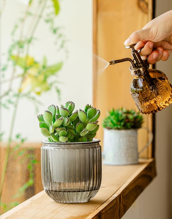 Melphoe Self Watering Pots for Indoor Plants Planter, 4.3 Inch 2 Pack Planters Self Watering Plant Pots for Flower, Houseplants, Succulent, African Violets and Cactus with Drainage