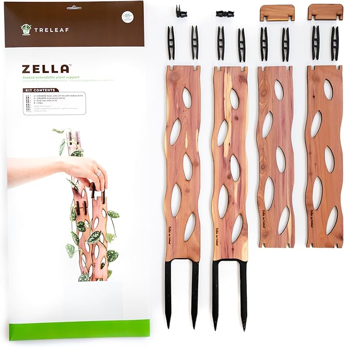 Treleaf Zella Grande Starter Kit – Wooden Extendable Plant Trellis for Indoor Climbing Houseplants – Modular Plant Support with 2 Bases + 2 Extensions - Moss Pole Alternative