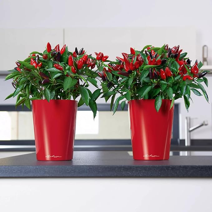 Lechuza MINI-DELTINI Scarlet Red High Gloss, Self-Watering Small Indoor Planter, H5.1 L3.9 W3.9 in