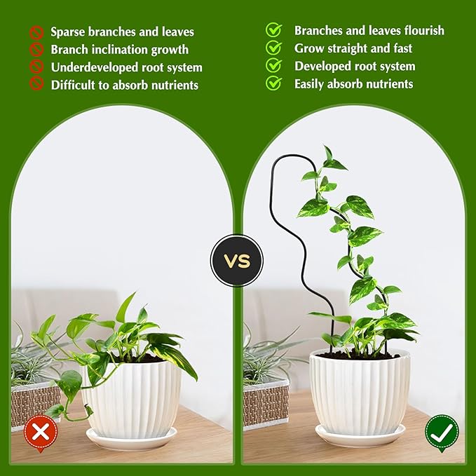 13.4 Inch Indoor Plant Trellis for Climbing Plants,Metal Trellis,Small Garden Trellis for Potted Plants,Plant Stakes for Indoor Plants Accessories Hoya,Flower,Plant Support (Black)