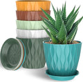 6 Pack 7 Inch Indoor Plant Pots with Drainage Holes, Outdoor Plastic Decorative Flower Pots, Garden Planters with Tray Saucers for Orchids, Violets, Succulents, Herbs, and Other Plants
