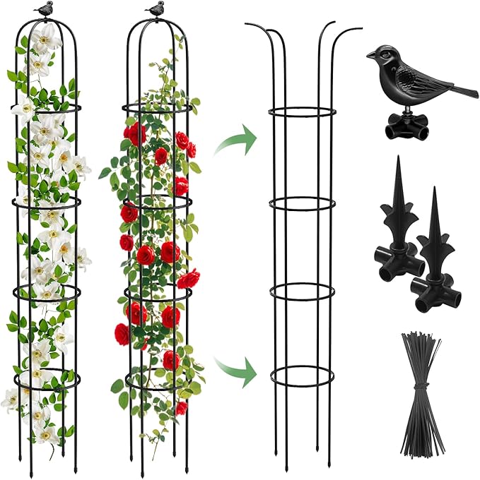 6.2ft Garden Obelisk Trellis for Climbing Plants Rustproof Metal Pipe with Heavy Duty Plastic Coated Garden Outdoor Indoor Potted Plant Support for Clematis Vine Jasmine Support
