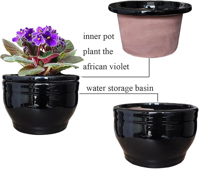 African Violet Pots Self Watering Round Ceramic Violet Pot (Black, 6 inch)