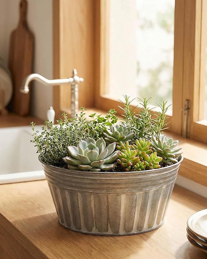 vensovo 10 Inches Silver Metal Rustic Plant Pots - 4 Pcs Large Shallow Galvanized Planters with Drain Hole and Rubber Plug, Rustproof Tin Bucket Succulent Pot Indoor Farmhouse Vintage Style for Decor
