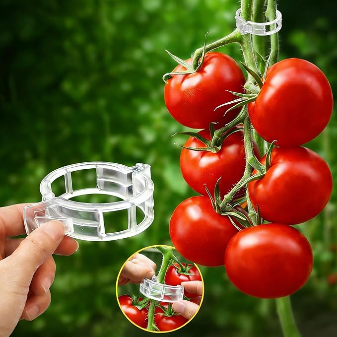 FEED GARDEN 120Pcs Plant Clips for Climbing Plants-Tomato, Cucumber, Grape & Vegetable Plant Supports, Reusable Tomato Clips Plastic Garden Clips, White