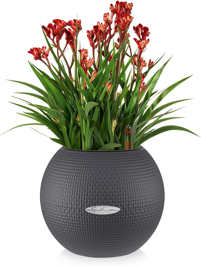 Lechuza Puro Color 20 Slate, Self-Watering Small Indoor Planter, D7.9 H6.3 in