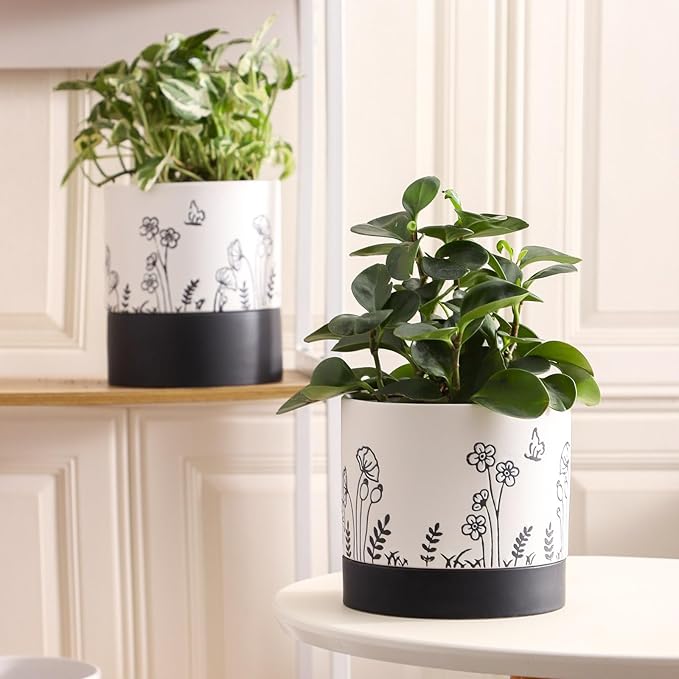Nihow Ceramic Plant Pot: 6 Inch Planter with Drainage Hole & Saucer for Indoor & Outdoor Plants - Cylinder Round Flower Pot for Succulent/Herbs/Violets - White