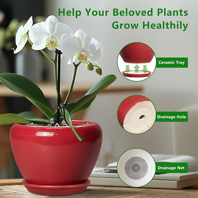 Ceramic Planter for Indoor Plants 8 Inch - Ceramic Plant Pot with Drainage Hole and Saucer, Glaze Round Decorative Modern Flower Pot, Housewarming Gift, Home Room Office Decor, Red