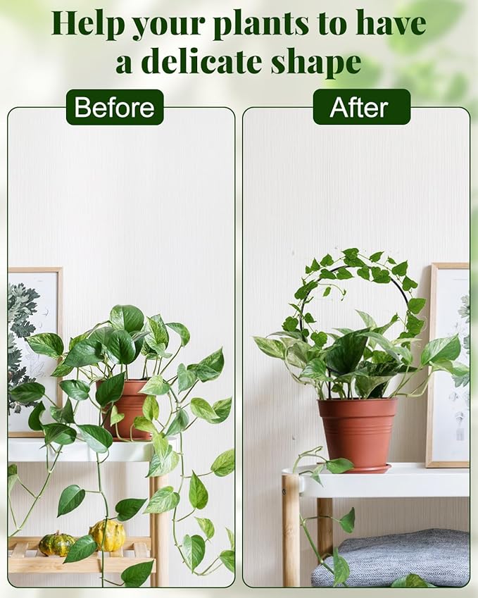 3 Pcs Unique Round Hoya Garden Trellis, Different Small Houseplant Trellis for Climbing Plant Indoor Outdoor, Garden Trellis Plant Support for Potted Ivy and Flowers (Black)