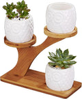FLOWERPLUS Planter Pots Indoor, 3 Pack 3 Inch White Ceramic Decorative Small Owl Succulent Cactus Flower Plant Pot with Tree Tier Bamboo Stand for Garden Kitchen Home Office Desk Decorations