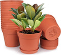 homenote Pots for Plants, 15 Pack 6 Inch Plastic Planters with Multiple Drainage Holes and Tray - Plant Pots for All Home Garden Flowers Succulents