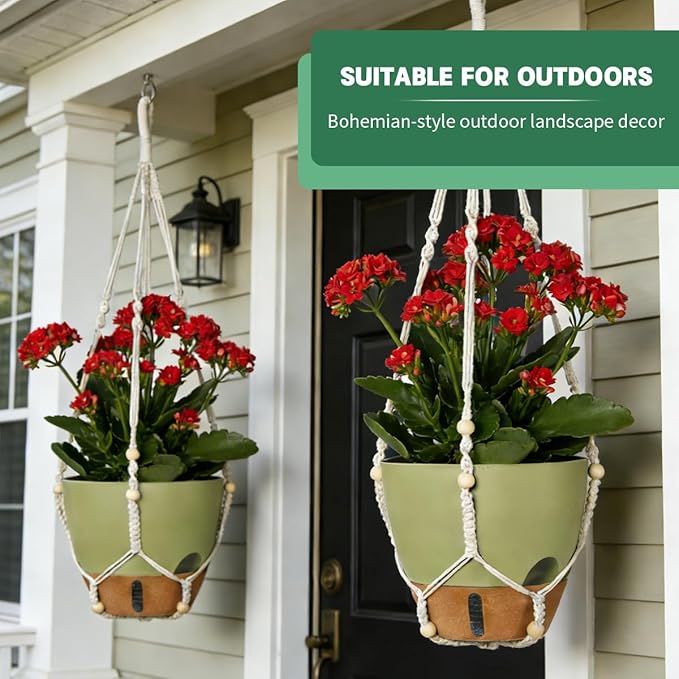 Self-Watering Hanging Planters for Indoor Plants Set 2-Piece Includes Plant Hanging Pot, Drainage-Hole Hanging Pot, and Hanging Basket Rack (10 Inches, Green)