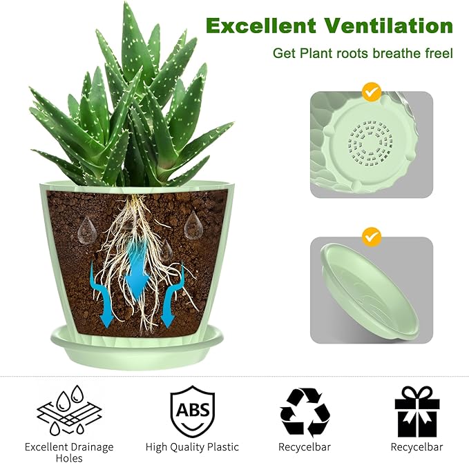 6 Pack 6 Inch Indoor Plant Pots with Drainage Holes, Outdoor Plastic Decorative Flower Pots, Garden Planters with Tray Saucers for Orchids, Violets, Succulents, Herbs, and Other Plants