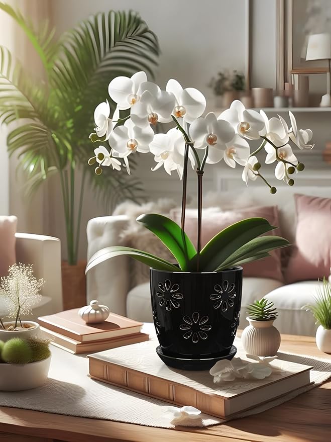Oairse 6 inch Orchid Pots with Holes, Black Ceramic Orchid Pot for Repotting Small Indoor Plant Pots with Drainage Holes and Saucers Decorative Flower Planter for Orchids, Indoor Plant
