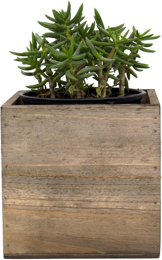 CYS EXCEL Cube Planter Box with Removable Plastic Liner (5"x5"x5")(4 PCS) | Multiple Size Choices Wood Square Planter | Indoor Decorative Window Box