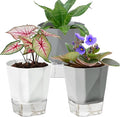 3 Pack Self Watering Flower Pots 6.5 Inch, Plant Pots for Indoor Outdoor, Self Watering Planters with Wick Rope and Clear Reservoir