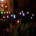 2 Pack Each 8 LEDs Solar Garden Lights Waterproof Outdoor Landscape Path Firefly Lights Single Spike Bulb Swaying Light Multicolor