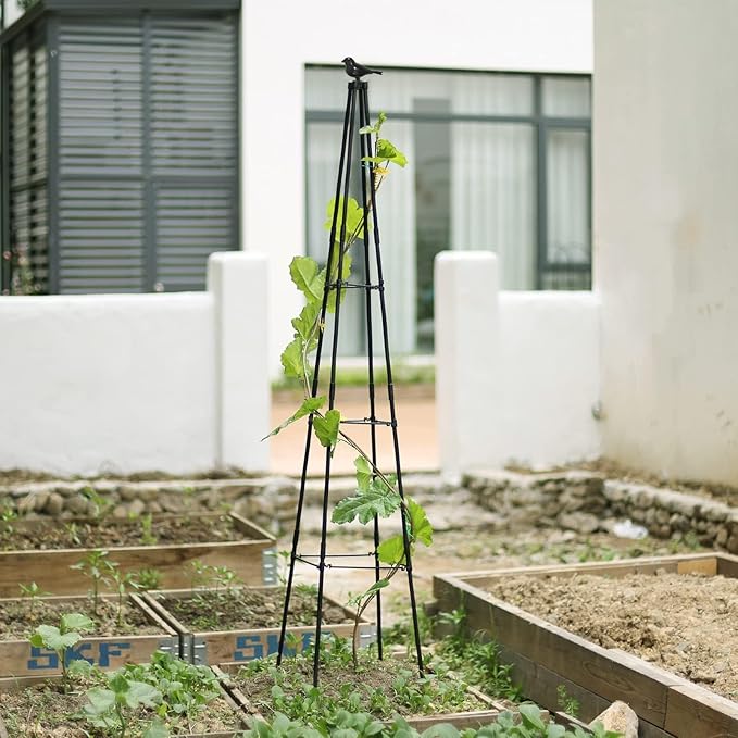 Cucumber Trellis, 67" Tall Obelisk Garden Trellis for Climbing Plants Outdoor Plastic-Coated Metal Support for Flower Vine Vegetable Tomato Cage Cucumebr Trellis Raised Bed, Black, 2 Pack