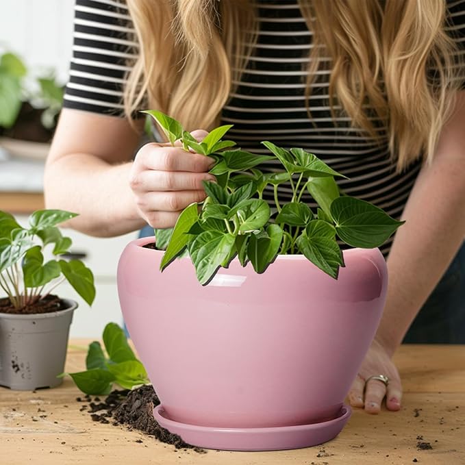 Ceramic Modern Glaze Succulent Planter Pot with Drainage Hole and Saucer 8 Inch Round Flower Plant Pot for Indoor Outdoor Herb Snake Plants, Pink