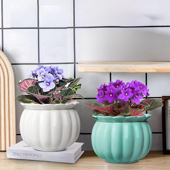BUYMAX African Violet Pots, 6 inch Pumpkin-Style Ceramic Easy Self Watering Plant Pot for Busy Plant Lovers, Automatically Absorb Appropriate Amount of Water, Flower Pot Indoor-Plants Not Included