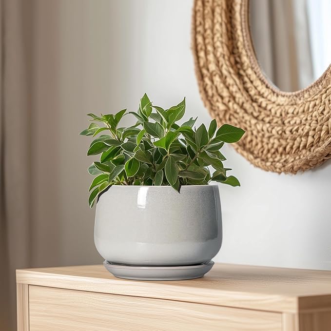 G EPGardening Ceramic Plant Pots - 9 Inch Ceramic Planters for Indoor Outdoor Plants, Modern Flower Pots with Drainage and Saucer, Round Planter, Garden Home Decor, Plant Lover Gifts, Light Grey