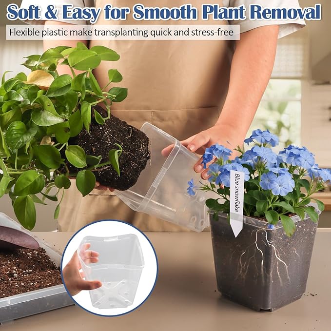 5.5 Inch Clear Square Nursery Pots with Drainage & Labels, 30Pcs Reusable Seed Starter Pots for Vegetables, Indoor Outdoor Gardening, Thick Transparent Plastic Plant Pots for Seed Starting