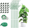 6 Pack Plant Support Stakes for Indoor Plants, 39.37 Inch Tall Twig Plant Sticks with Orchid Clips Twist Ties and Plant Ties for House Potted Monstera Plants Support, Green