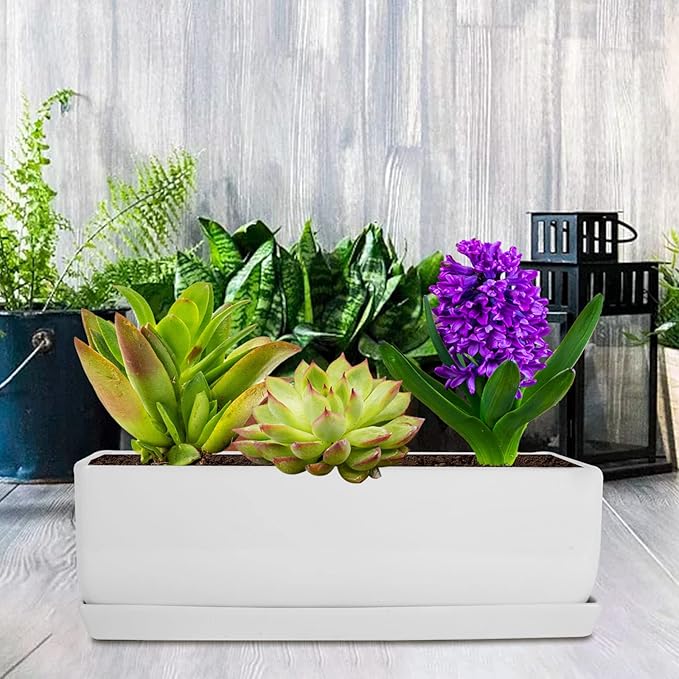 Vencer 14 Inch Rectangular Modern Minimalist Ceramic Succulent Planter Pot - Window Box with Saucer,Office Desktop Potted Stand,White,VF-0173W