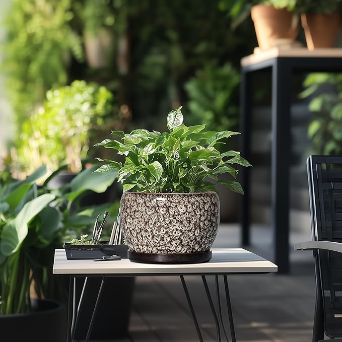SQOWL Ceramic Planter - 8 inch Plant Pot Indoor with Drainage Hole and Plant Saucer, Round Ceramic Flower Pots Outdoor, Decorative Modern Planter, Office Kitchen Decor, Gifts for Women Men, White
